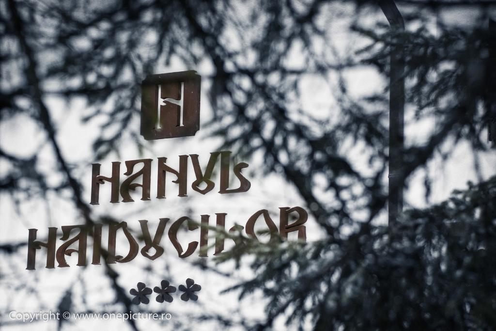 Hanul Haiducilor Обыршия-Лотрулуй Номер фото